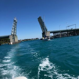 Meet your Posher, Will